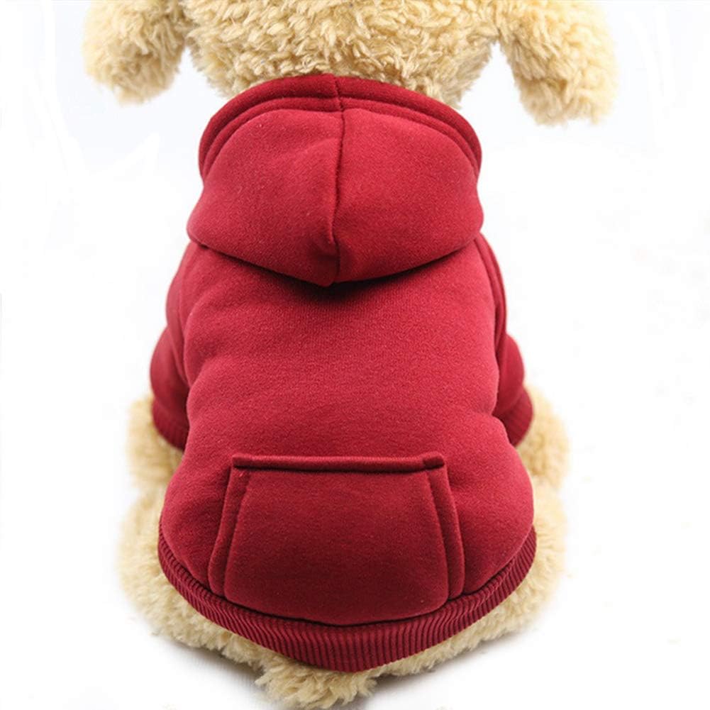 Red hoodie on a small dog with a white background